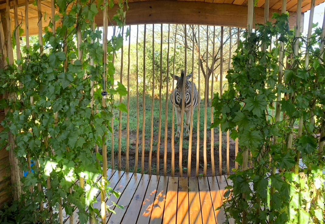 Mudhouse Zululand Hluhluwe Exterior foto